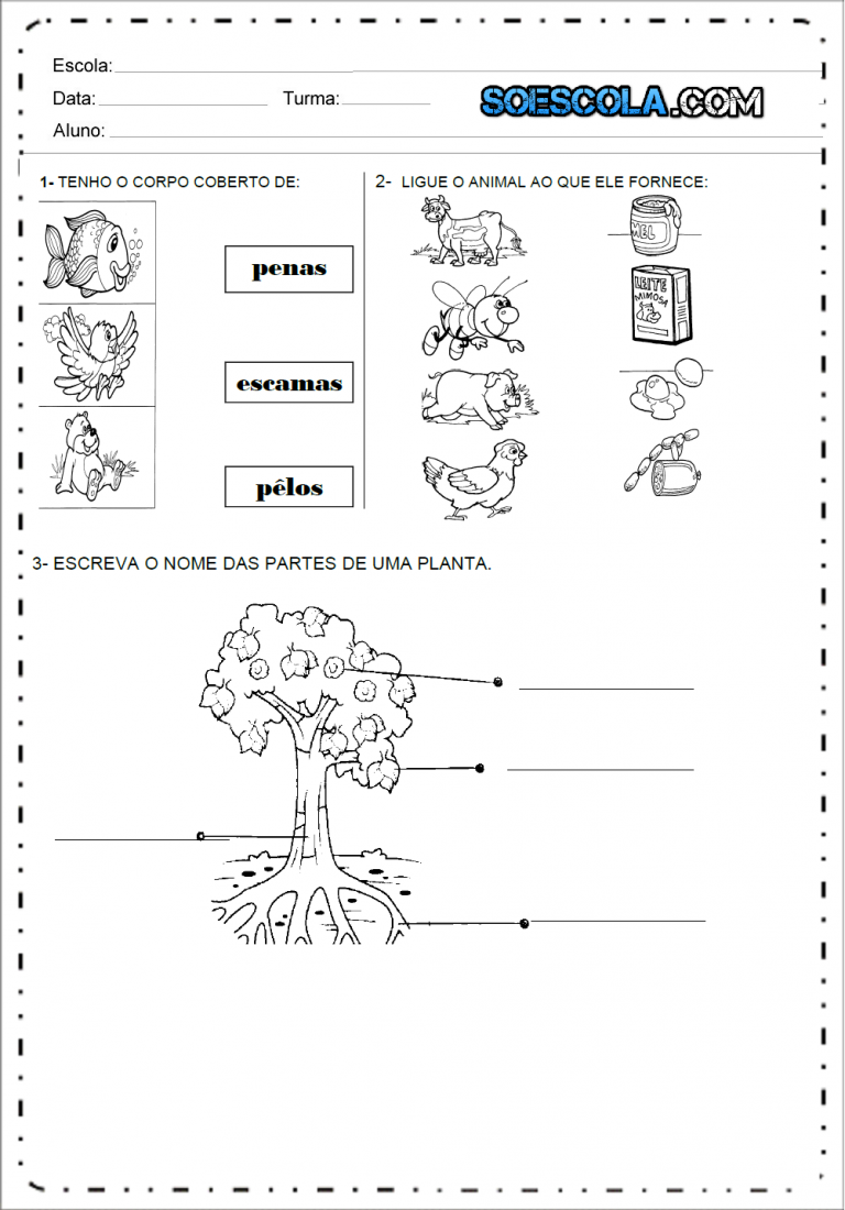 Atividades de Ciências 2º ano - SÓ ESCOLA