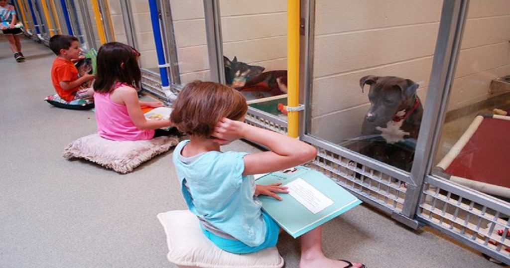 Crianças leem para cães que sofreram maus tratos e os ajudam a interagir com humanos