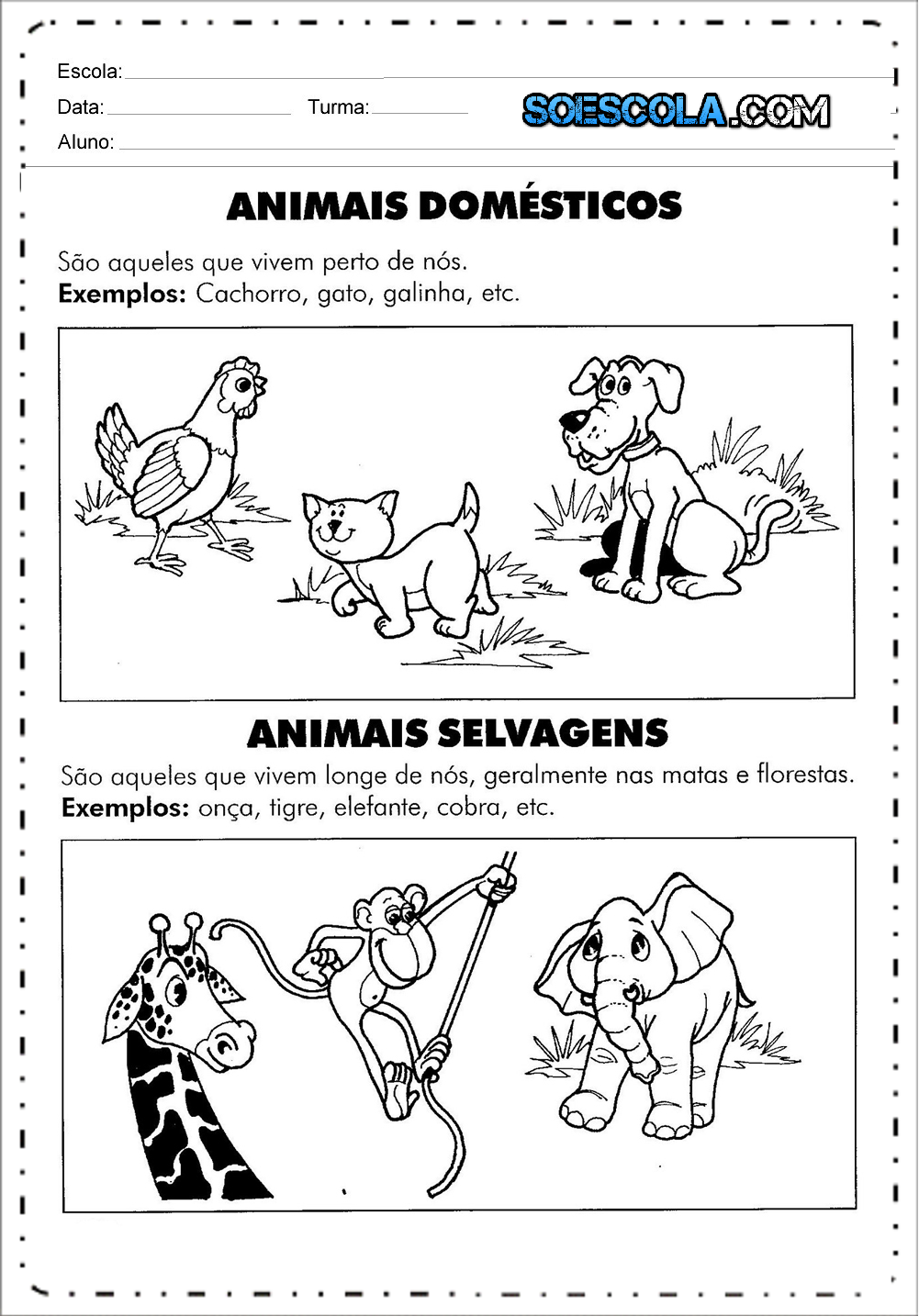 Atividade sobre os Animais - Educação Infantil